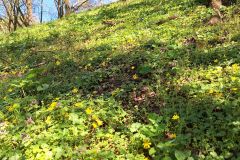 20250404-DVD_7602a