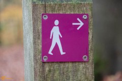 Cultuurwandeling Drie