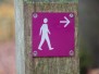 Cultuurwandeling Drie