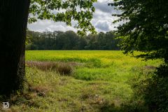 20241008-DVD_4968