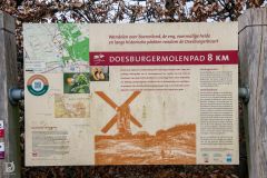 20250325-DVD_7477