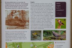 20250325-DVD_7483
