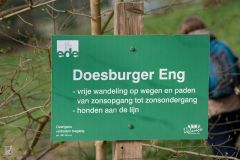 20250325-DVD_7506