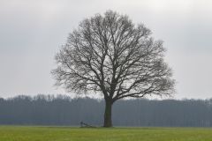 20250325-DVD_7521