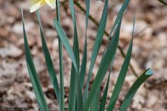 20250325-DVD_7533