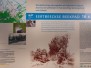 Eerbeektse  Beekpad