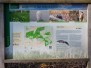 Griezeveensepad Voorthuizen