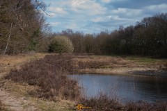 20210326-DSC_0035