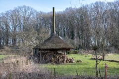 20250219-DVD_6838