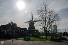 20250219-DVD_6842
