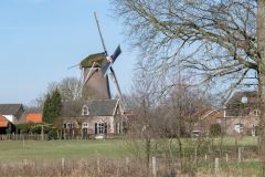 20250219-DVD_6856