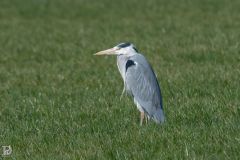 20250219-DVD_6881