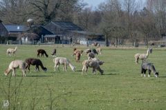 20250219-DVD_6882