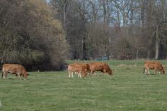 20250219-DVD_6885