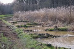 20250219-DVD_6914