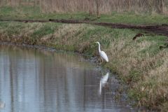 20250219-DVD_6915