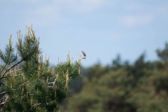 20210528-DSC_0046