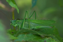 20210803-DSC_0060