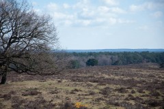 20210319-DSC_0020