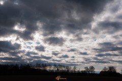 20201204-DSC_0022