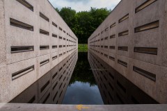 Oerrr wandeling Waterloopbos