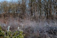 20230208-DVD_0674