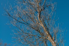 20210305-DSC_0021