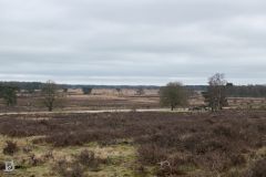 20240217-DVD_0011