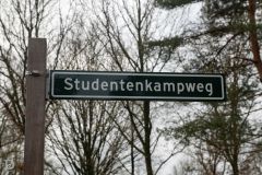 20240217-DVD_0030