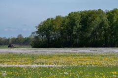 20250429-DVD_8668