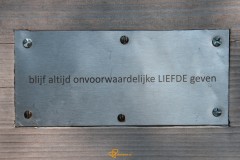 20210604-DSC_0006