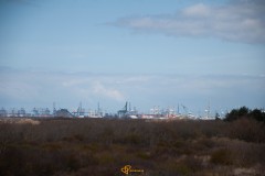 20210415-DSC_0252