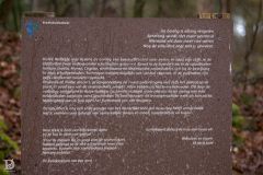 1_20250312-DVD_7282