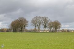 20250312-DVD_7267