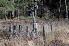20250319-DVD_7463